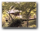 Climb a treehouse at the Japanese Gardens