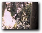 Visit the eagle at the Fort Worth Zoo
